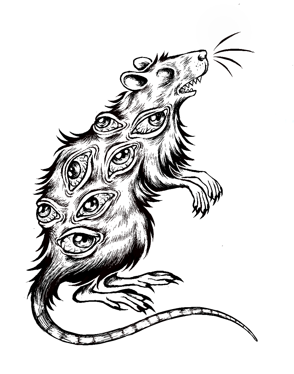 The Rat I drew
