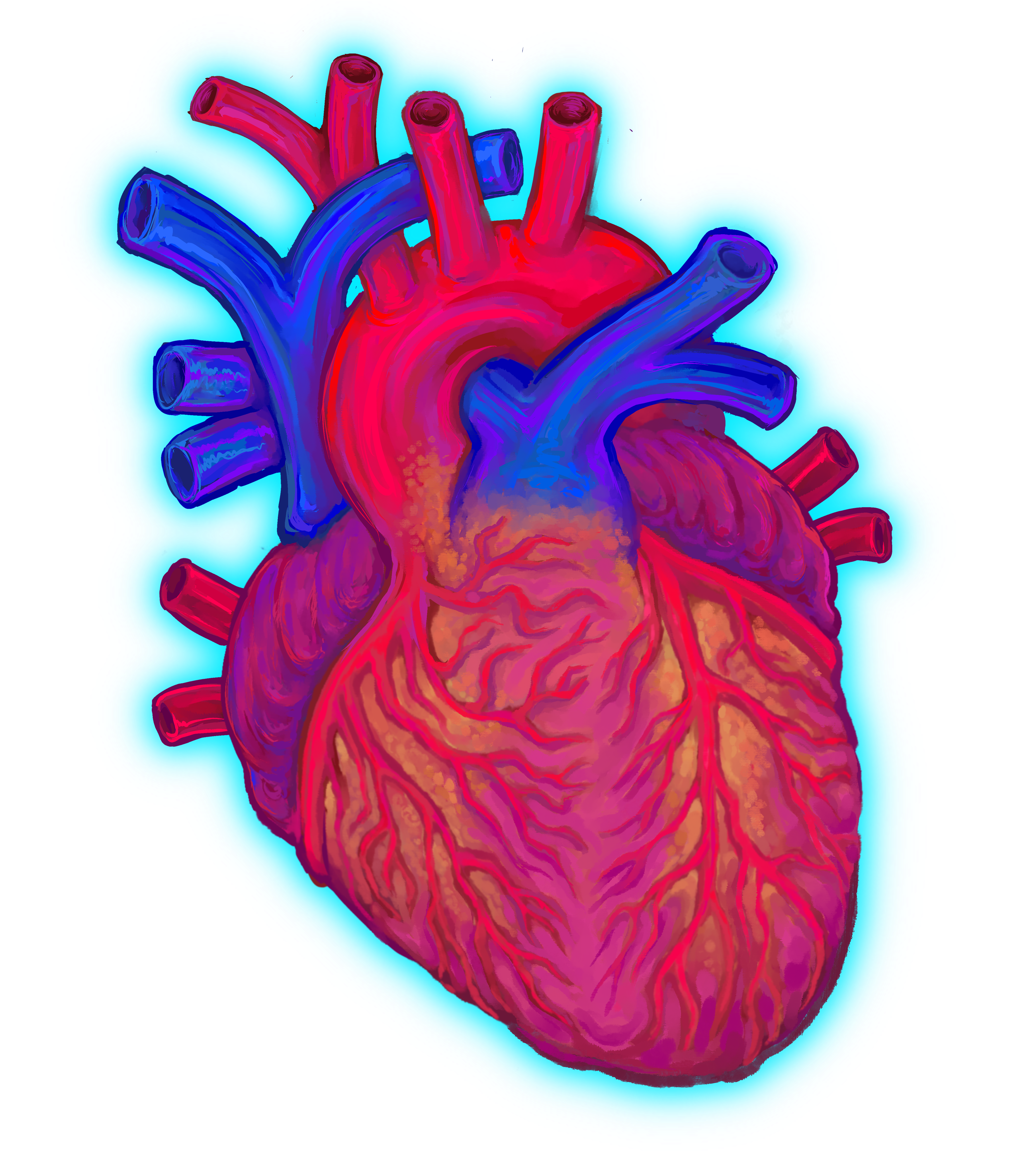 Transparent heart illustration